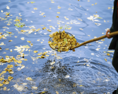 POND MAINTENANCE